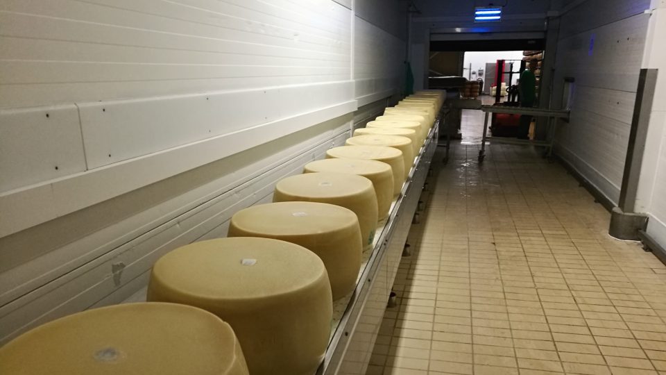 Sýr je připraven k uskladnění