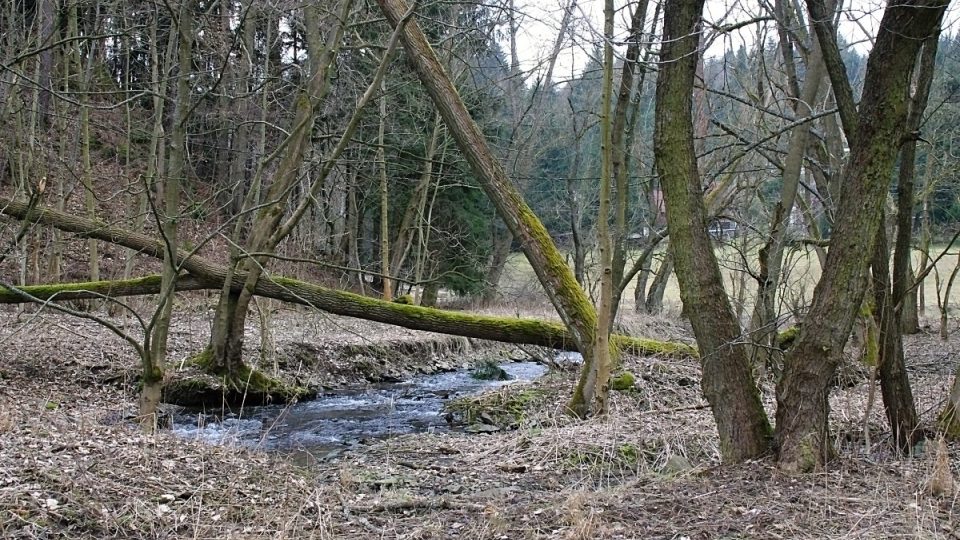 Řeka a její okolí je zde ponechána v původní podobě a tvoří tak zajímavý biokoridor