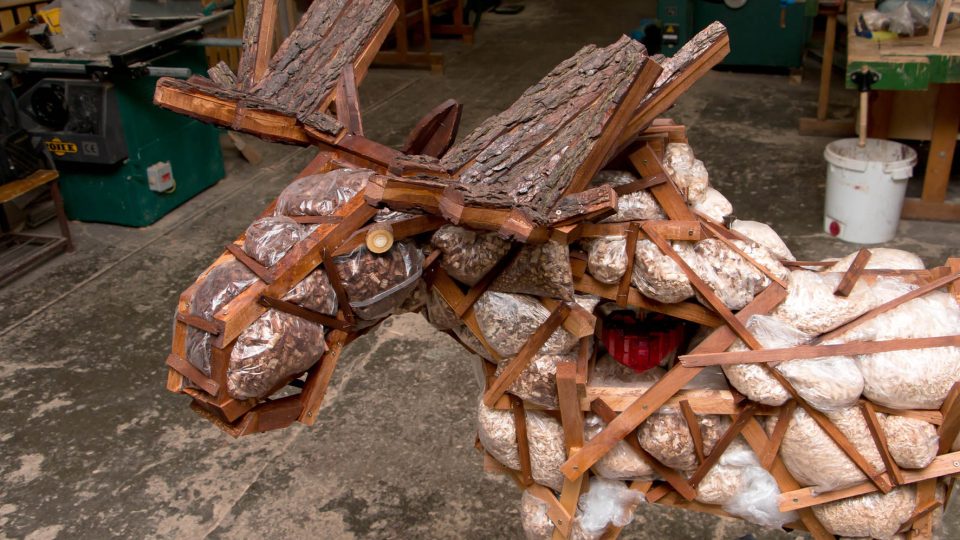 Budoucí řezbáři z Tovačova vyrobili z dřevěného a plastového recyklovatelného odpadu soba pro švédské velvyslanectví
