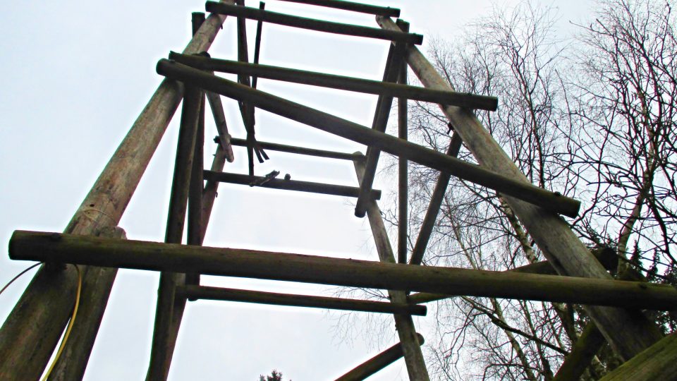 Triangulační dřevěná věž na Brně