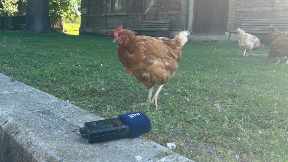 Netradiční respondent | foto: Lenka Kratochvílová, Český rozhlas Netradiční respondent