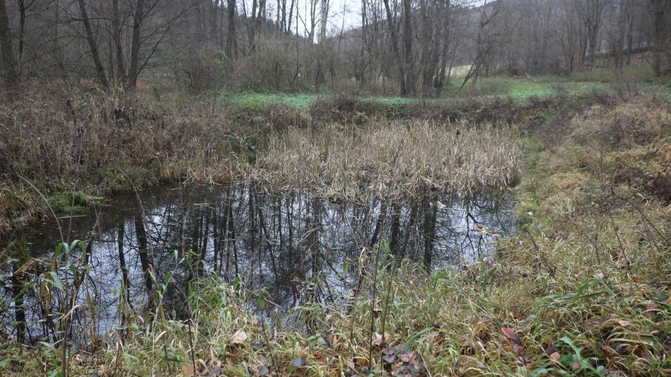 Mokřady a rybníky ve Valšově dole