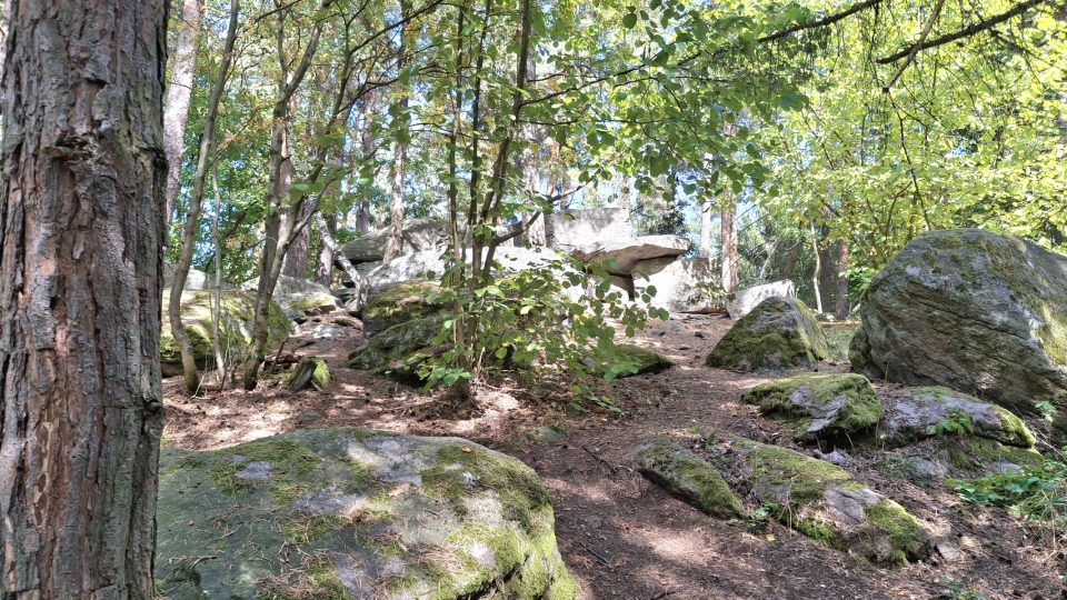 Boží kameny najdete na zalesněné vyvýšenině mezi Kraselovem a Tažovicemi | foto: Zdeněk Zajíček, Český rozhlas Boží kameny najdete na zalesněné vyvýšenině mezi Kraselovem a Tažovicemi