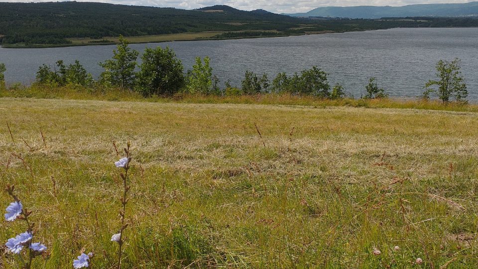 Jezero Milada | foto: Stanislava Brádlová, Český rozhlas Jezero Milada