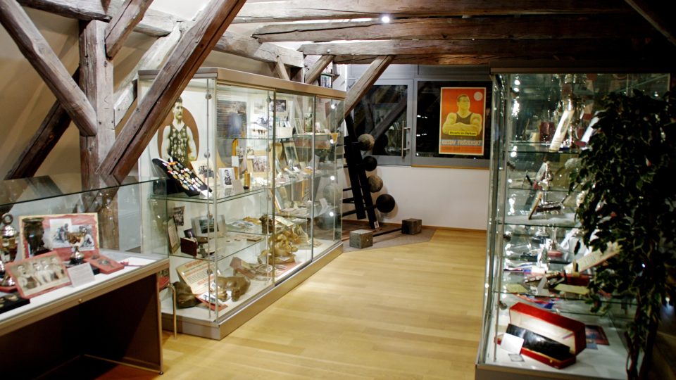 Expozice Gustava Frištenského v muzeu v Litovli.JPG