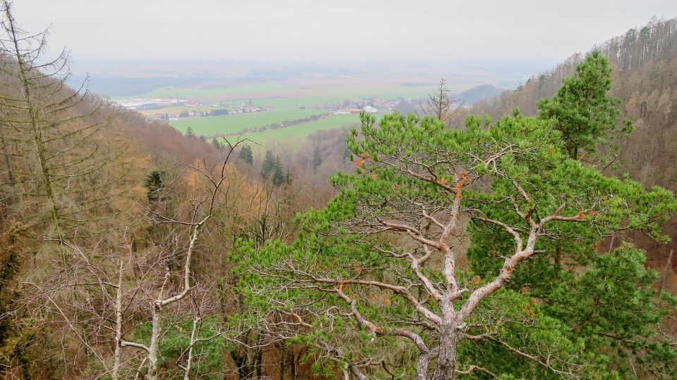 Pohled z vyhlídky nad Lovětínskou roklí směrem k Třemošnici