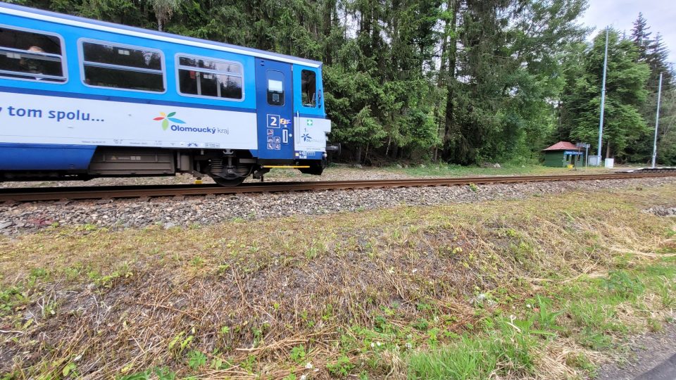 Vysoké Žibřidovice | foto: Miroslav Kobza, Český rozhlas Vysoké Žibřidovice