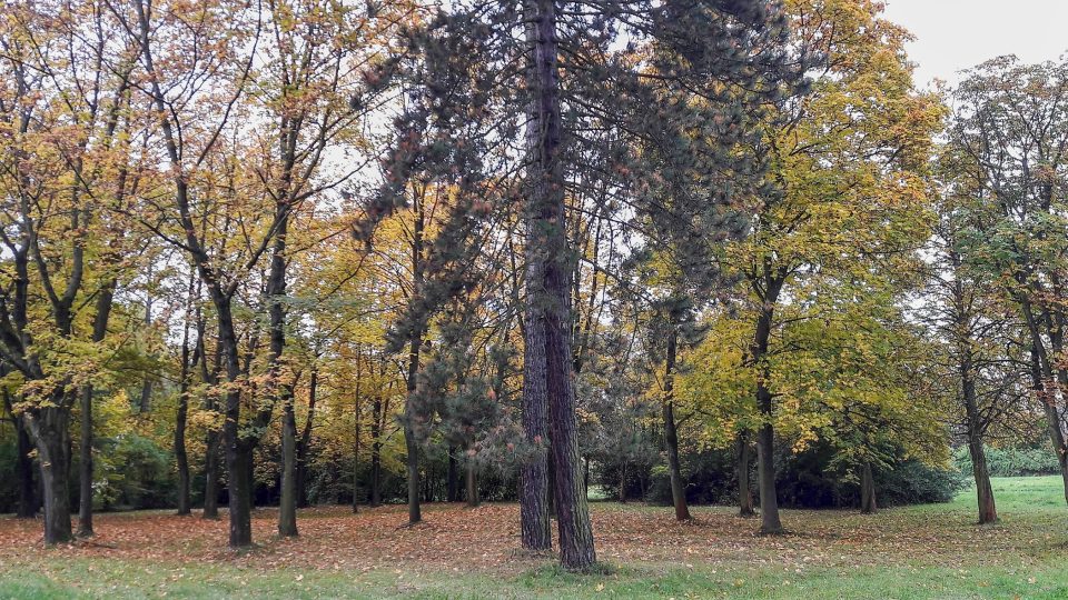 Od samotného počátku sloužil sad především k odpočinku, zábavě a rekreaci