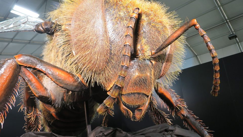 Detail modelu včely