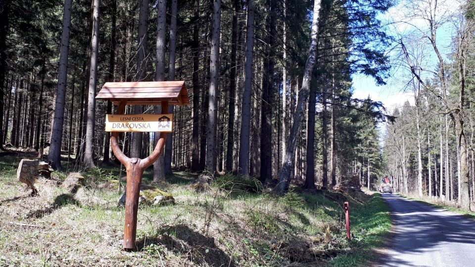 Naučná stezka vás povede po této pohodlné lesní cestě. Ideální pro kola i rodiče s kočárky.jpg