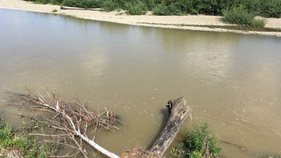 Řeka Bečva u Sušic podemílá břeh s cyklostezkou