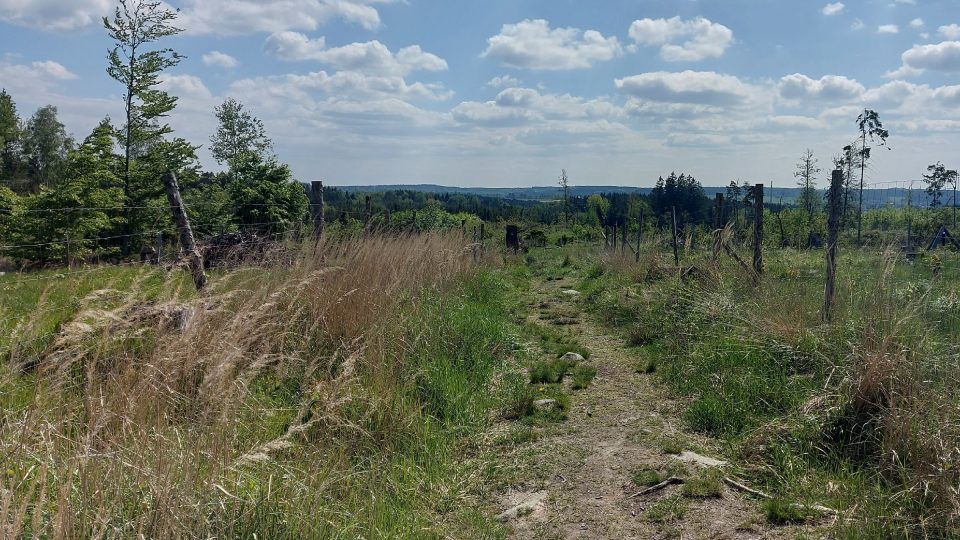 Cesta k zatopenému lomu poblíž Srní | foto: Tereza Brázdová, Český rozhlas Cesta k zatopenému lomu poblíž Srní