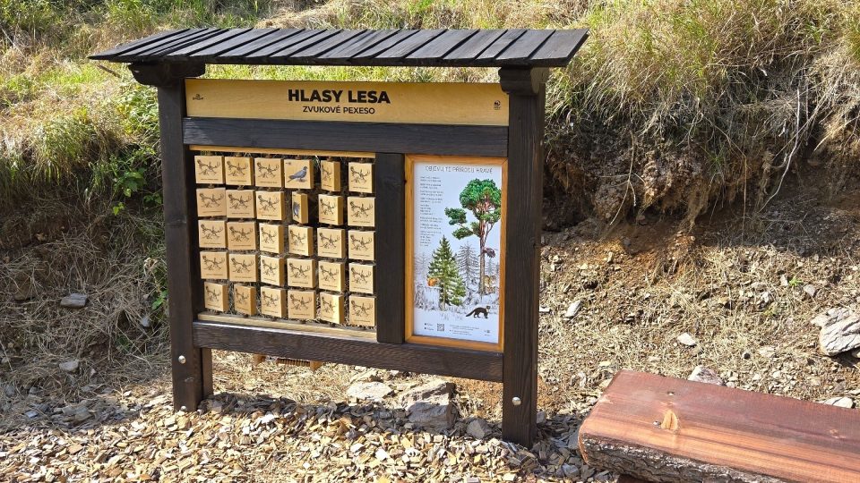 Cesta stezkou kombinuje hru s poznáváním přírody