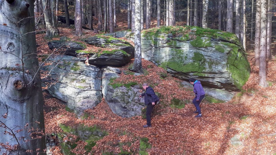 Na pěšinkách pokrytých spadaným listím to může klouzat. Proto je lepší nechat si procházku skaním městem až na jaro či léto