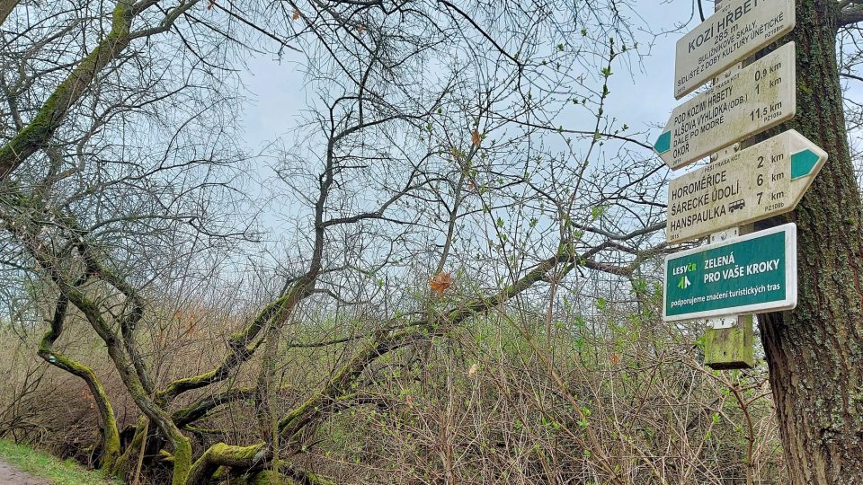 Kozí hřbety projdete po zelené turistické značce | foto: Jolana Nováková, Český rozhlas Kozí hřbety projdete po zelené turistické značce