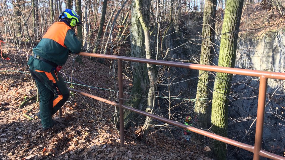 Těžba nebezpečných stromů u Hranické propasti