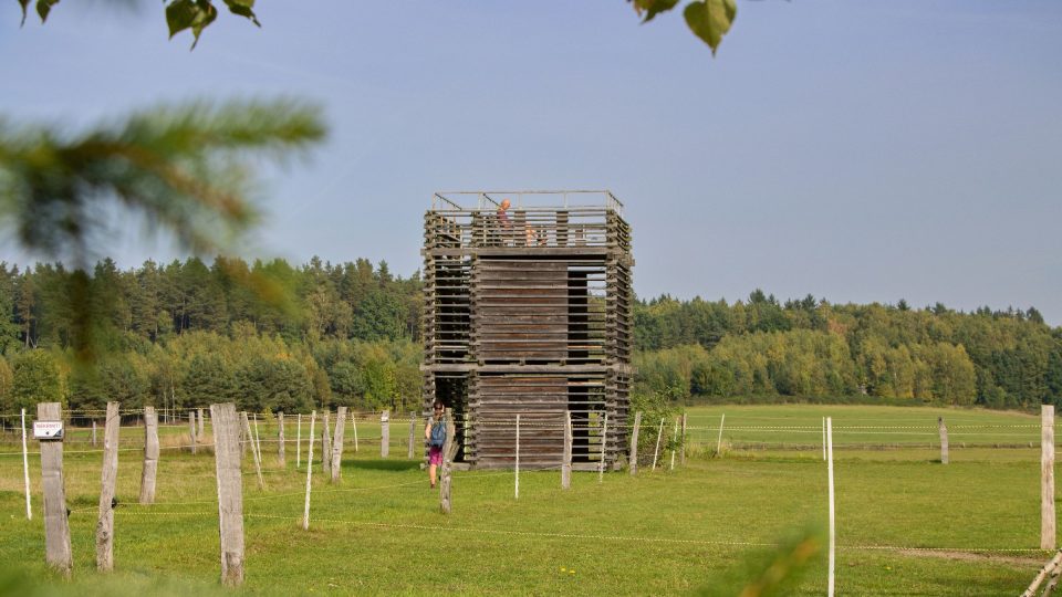 Rozhledna je postavená z modřínového dřeva