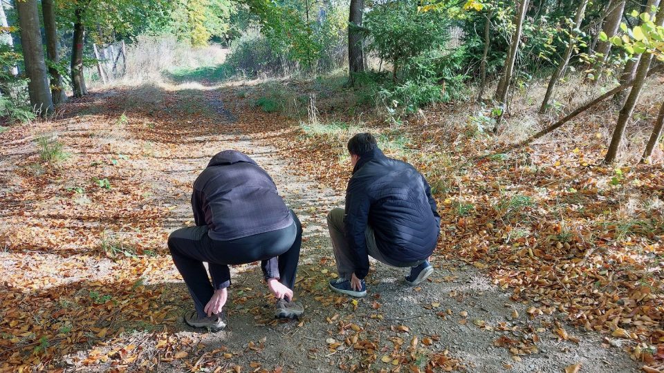 Takto vypadá jeden z úkolů - běh ve dřepu