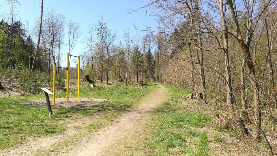 Mohelnický park (lesopark)