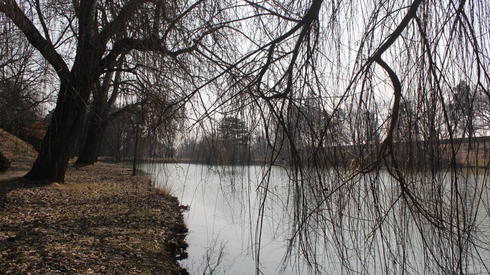 Rybník v Čechách pod Kosířem