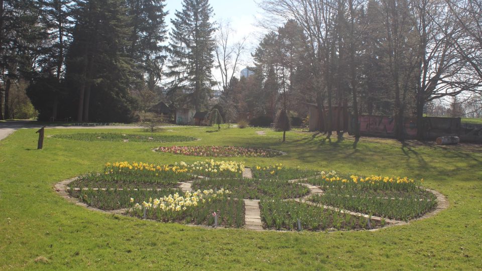 Procházka rozkvétající botanickou zahradou v Olomouci