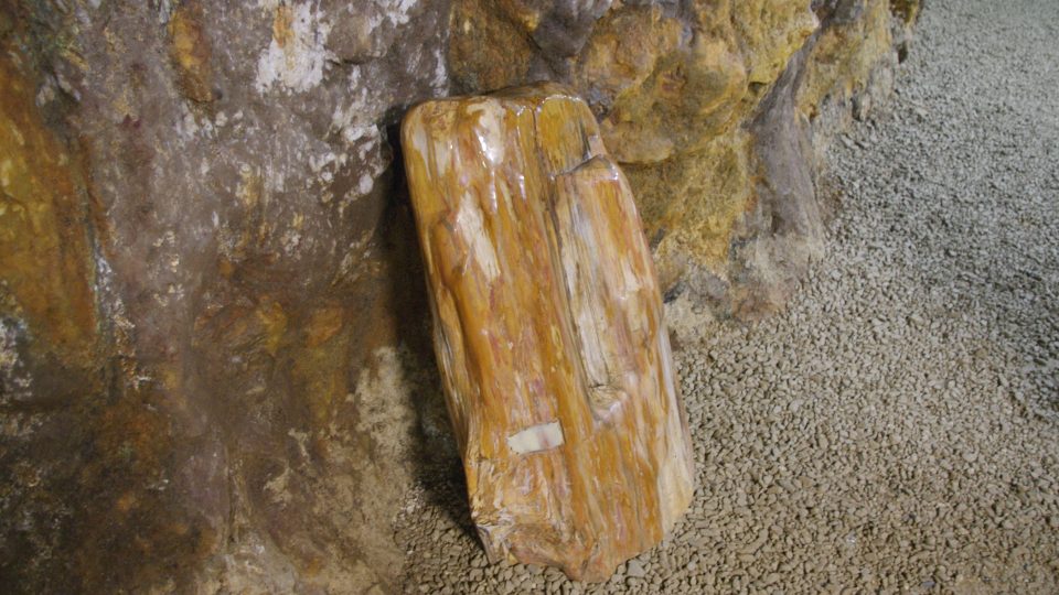 V podzemí je k vidění třeba i zkamenělé dřevo