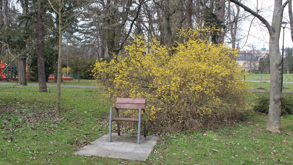 Olomoucké parky plné květů