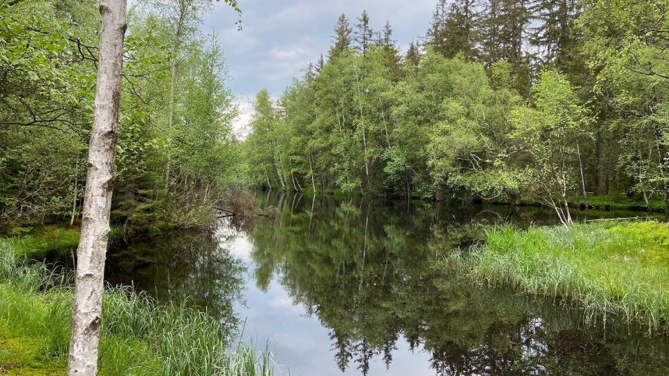 Kladská je právem označovaná za nejkrásnější místo Slavkovského lesa