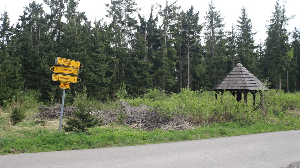 Na Drahanské vrchovině poblíž pramene