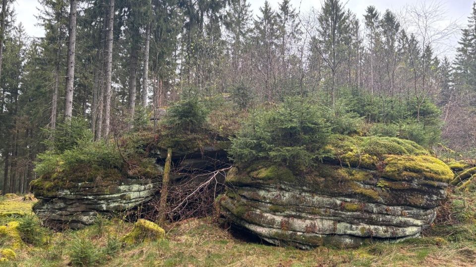 Typické mrazové zvětrávání žuly můžete na Šelmberku pozorovat hezky zblízka