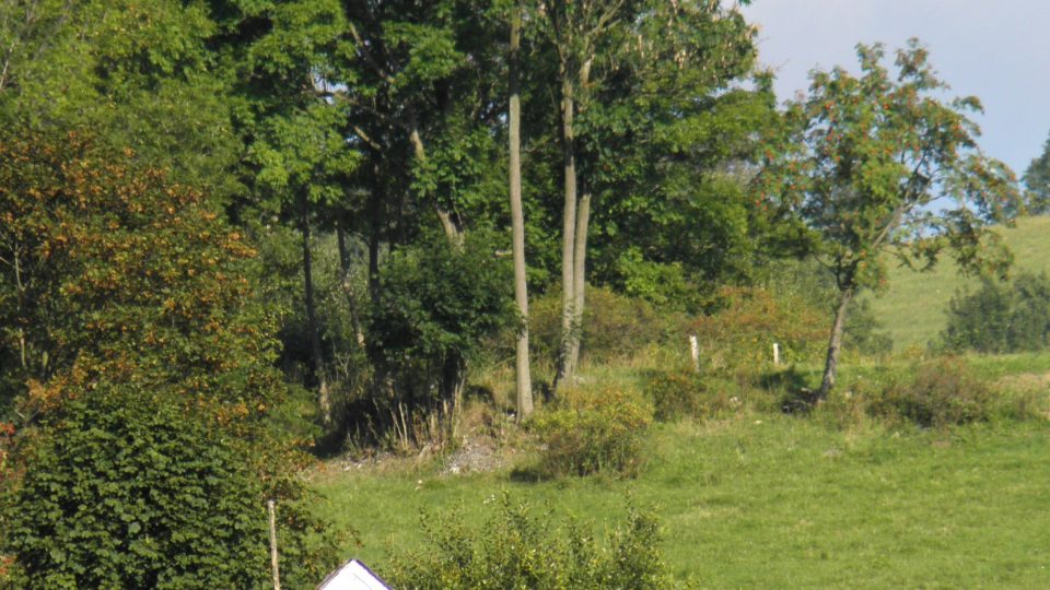 Vysoké Žibřidovice