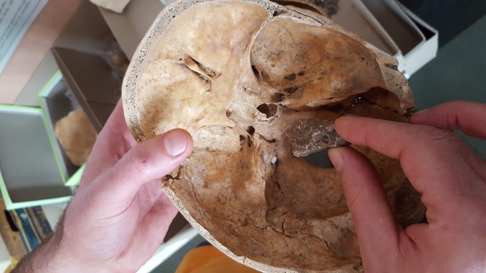 Kost skalní z žárového pohřbu a pod ní vodorovně rozřezaná lebka