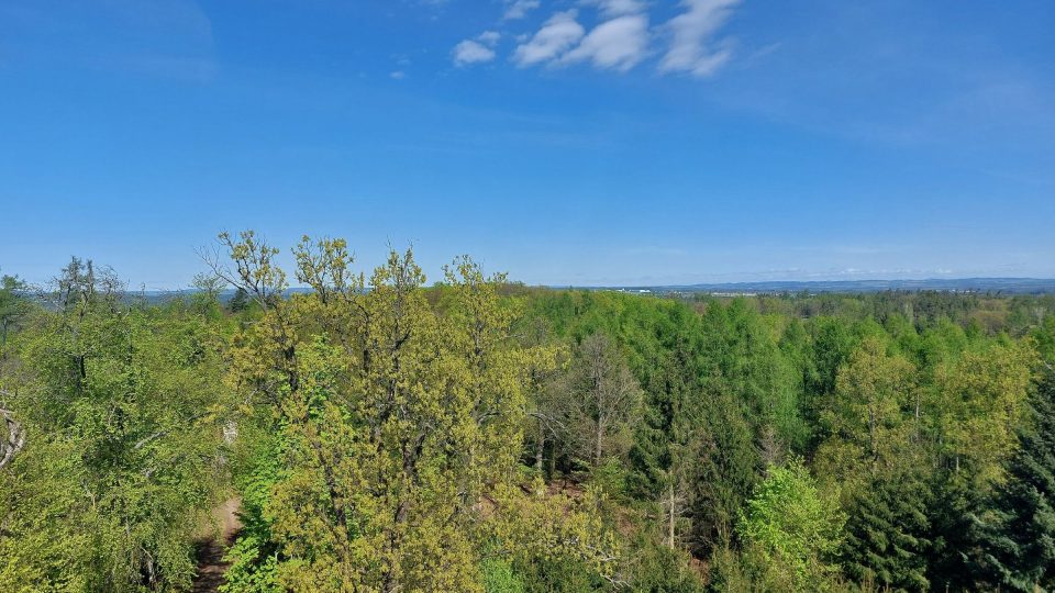 Výhled do přírody Náměšťska | foto: Irena Šarounová, Český rozhlas Výhled do přírody Náměšťska