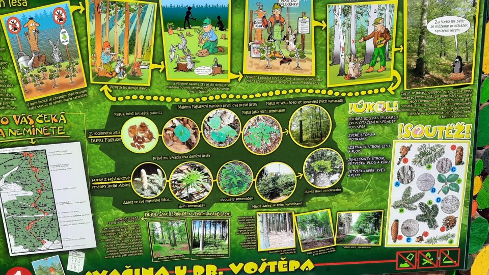 Na každém zastavení pohádkové stezky se děti dozví pár zajímavostí ze života lesa