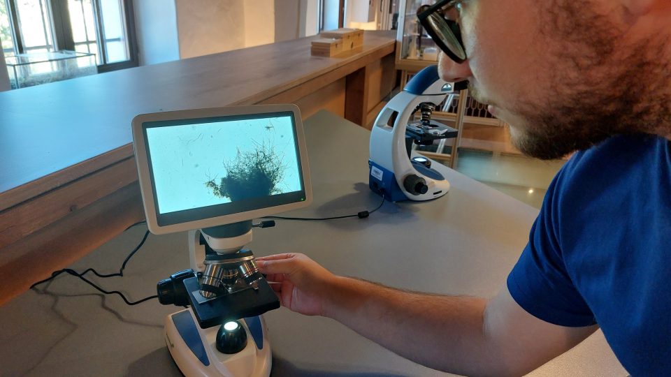 V olomoucké Pevnosti poznání můžete nahlédnout také pod mikroskop