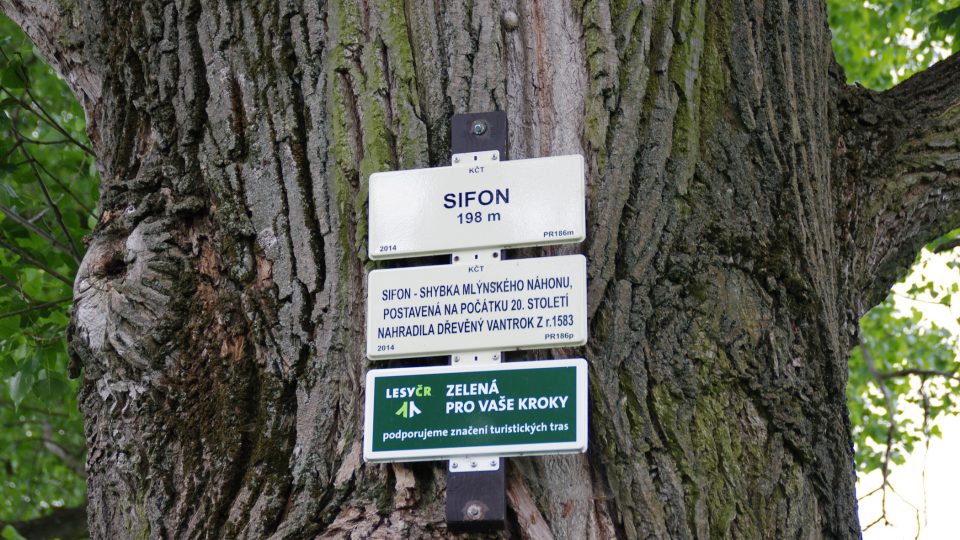 K sifonu vede odbočka zelené turistické značky