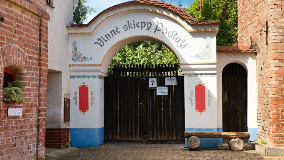 Malovaná brána na konci vinařské uličky Výmol v Moravské Nové Vsi | foto: Zdeněk Truhlář, Český rozhlas Malovaná brána na konci vinařské uličky Výmol v Moravské Nové Vsi