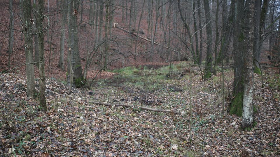 Mokřady a rybníky ve Valšově dole