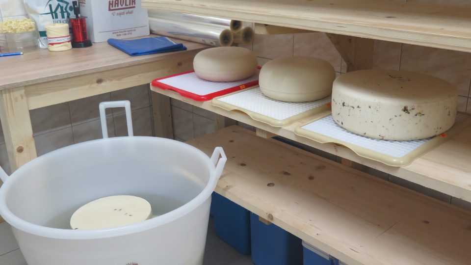 Sýry se nechají uležet