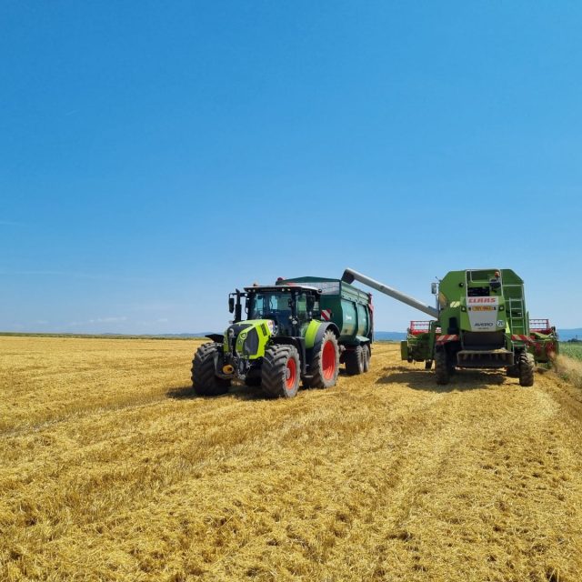 Sklizeň obilí na polích v Loučanech na Olomoucku | foto: Radka Těšíková,  Český rozhlas