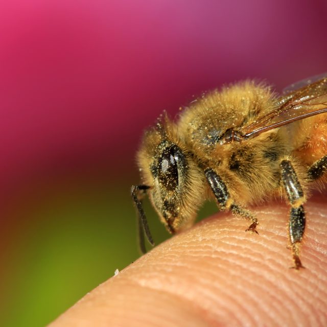 Ilustrační foto | foto: Shutterstock