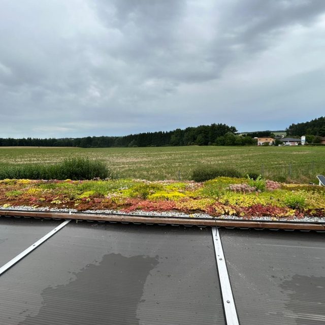 Útulek ve Starých Hodějovicích | foto: Michal Bělský