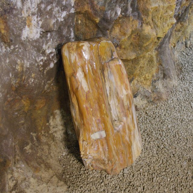 V podzemí je k vidění třeba i zkamenělé dřevo | foto: Český rozhlas