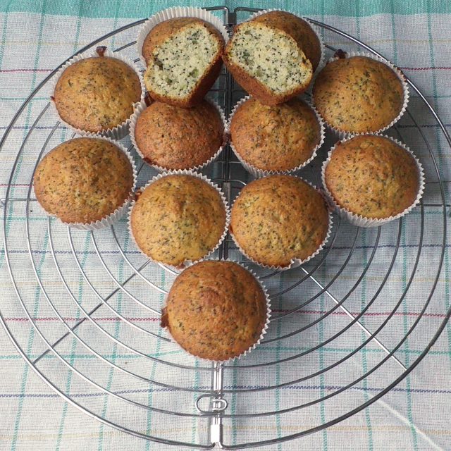 Muffiny  (ilustrační foto) | foto: Stanislava Brádlová,  Český rozhlas,  Český rozhlas