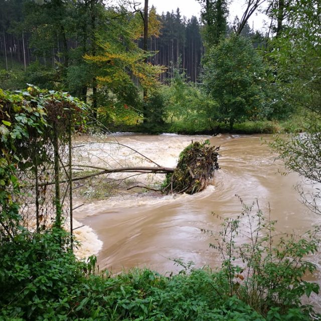 Třebůvka v Lošticích nabrala na síle | foto: Miroslav Kobza,  Český rozhlas