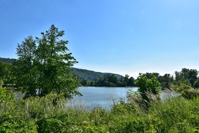 Rybník Piskáč v Hranicích | foto: Petr Bakovský,  Městský úřad Hranice