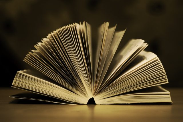 Literatura je součástí našich životů  (ilustrační foto) | foto: Fotobanka Pixabay