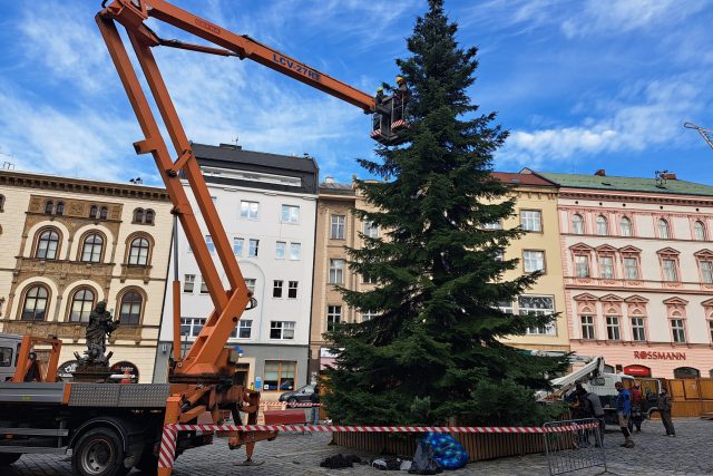 Na olomouckém Horním náměstí začali v pondělí se zdobením vánočního stromu | foto: Blanka Mazalová,  Český rozhlas