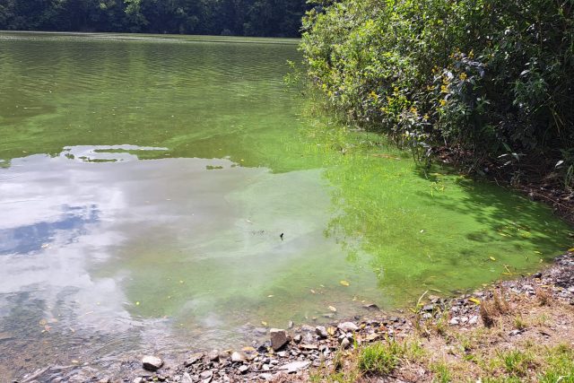 Znečištěná voda v plumlovské přehradě | foto: Barbora Taševská,  Český rozhlas