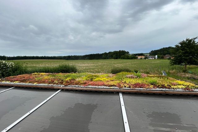 Útulek ve Starých Hodějovicích | foto: Michal Bělský